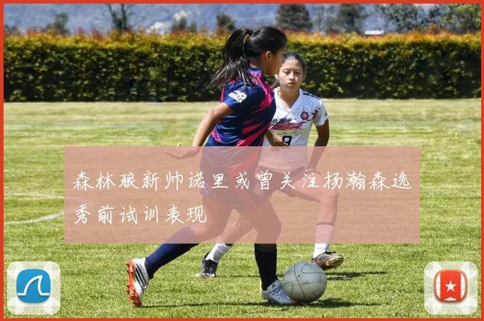 森林狼新帅诺里或曾关注杨瀚森选秀前试训表现