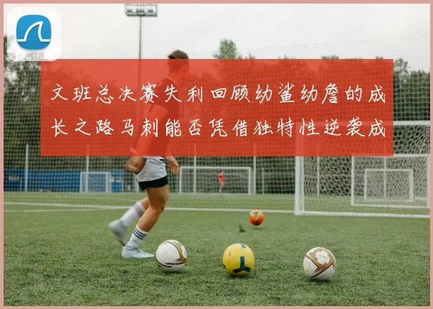 文班总决赛失利回顾幼鲨幼詹的成长之路马刺能否凭借独特性逆袭成功